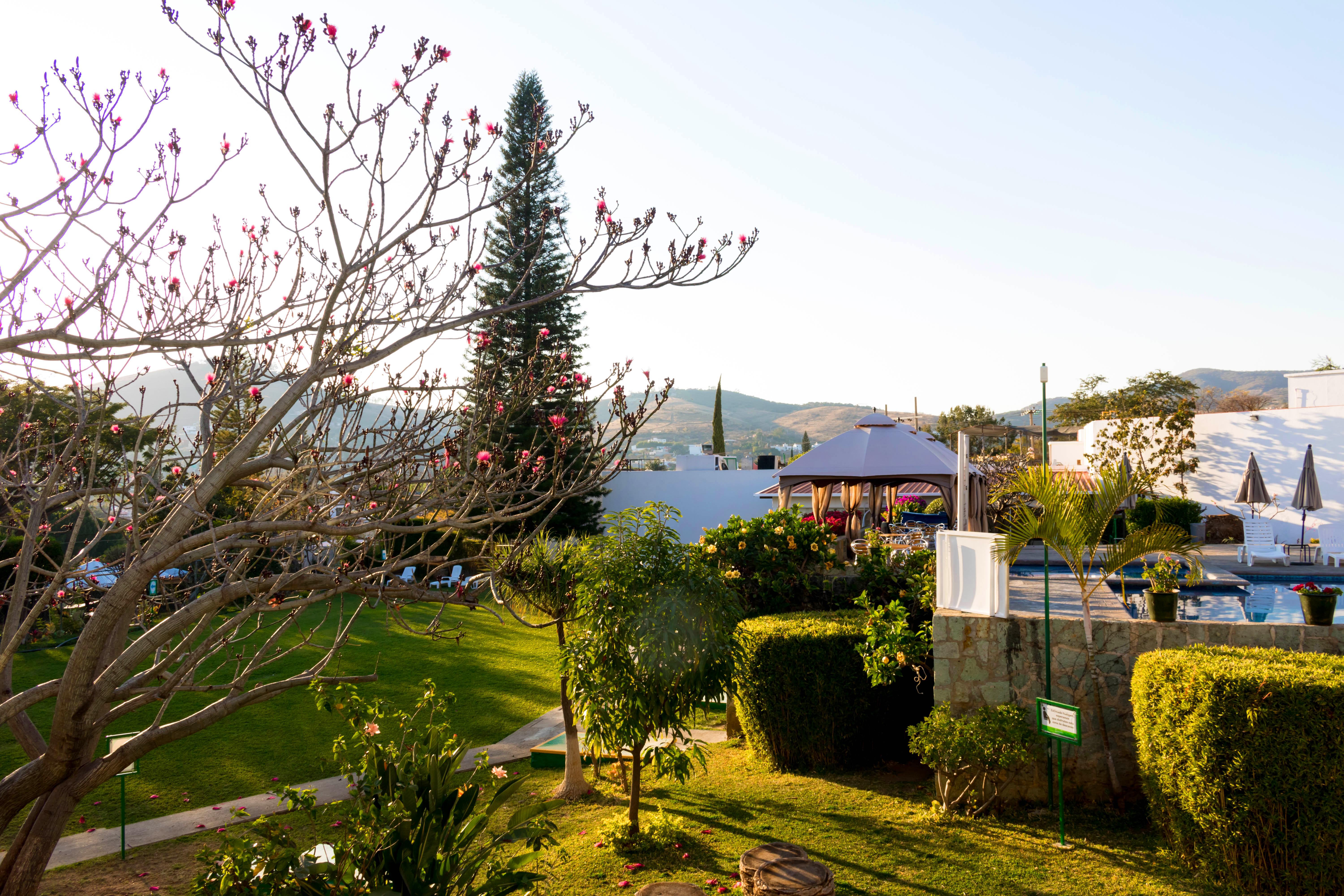 Mision Oaxaca Hotel Exterior photo